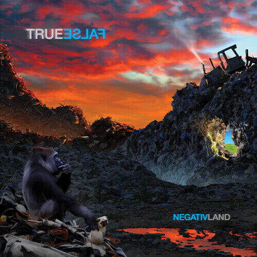 

CD диск Negativland: True False