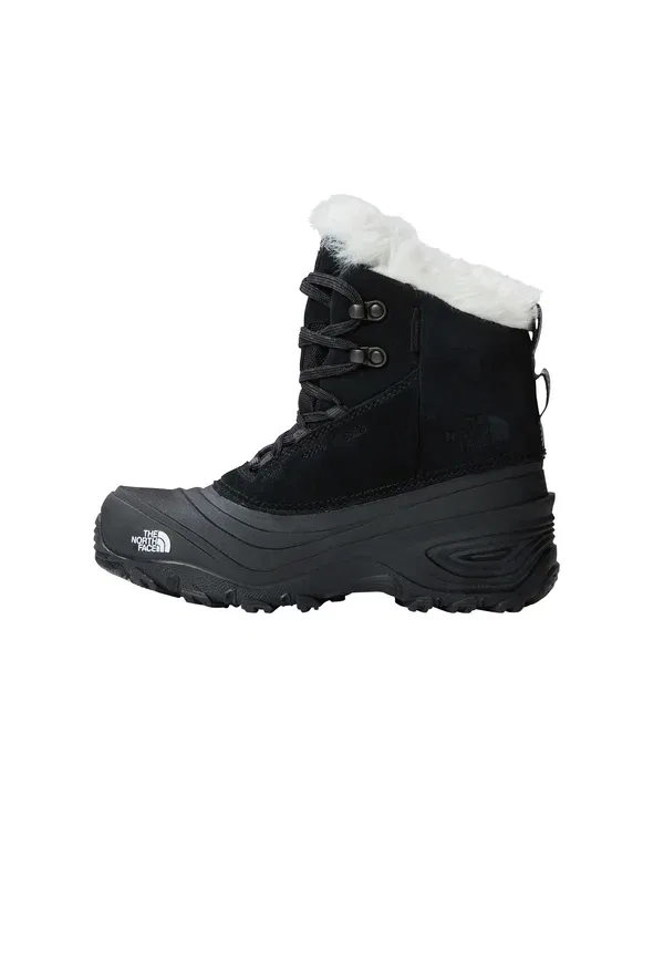 Зимние ботинки The North Face Shellista, черный