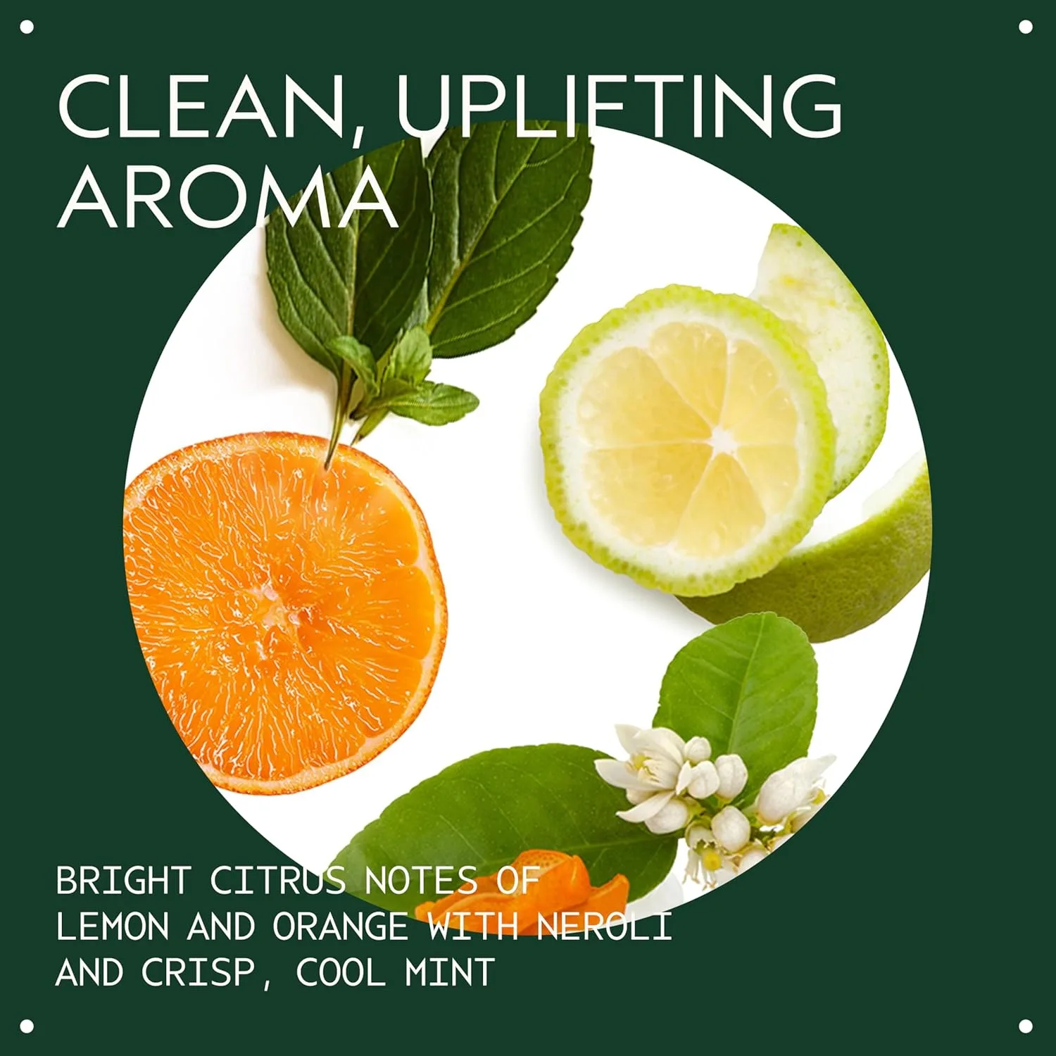 Кондиционер Aveda Scalp Solutions Replenishing для увлажнения волос и кожи головы, для всех типов волос, с маслами бабассу и моринги, аромат цитруса, цветов и мяты, 98% натуральных ингредиентов, 200 мл — фото 3