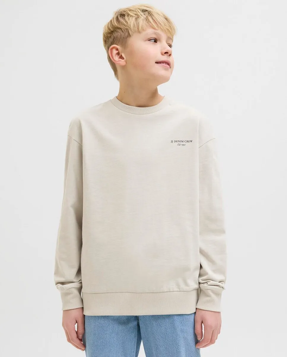 

Толстовка свободного кроя для мальчиков Jack & Jones, бежевый