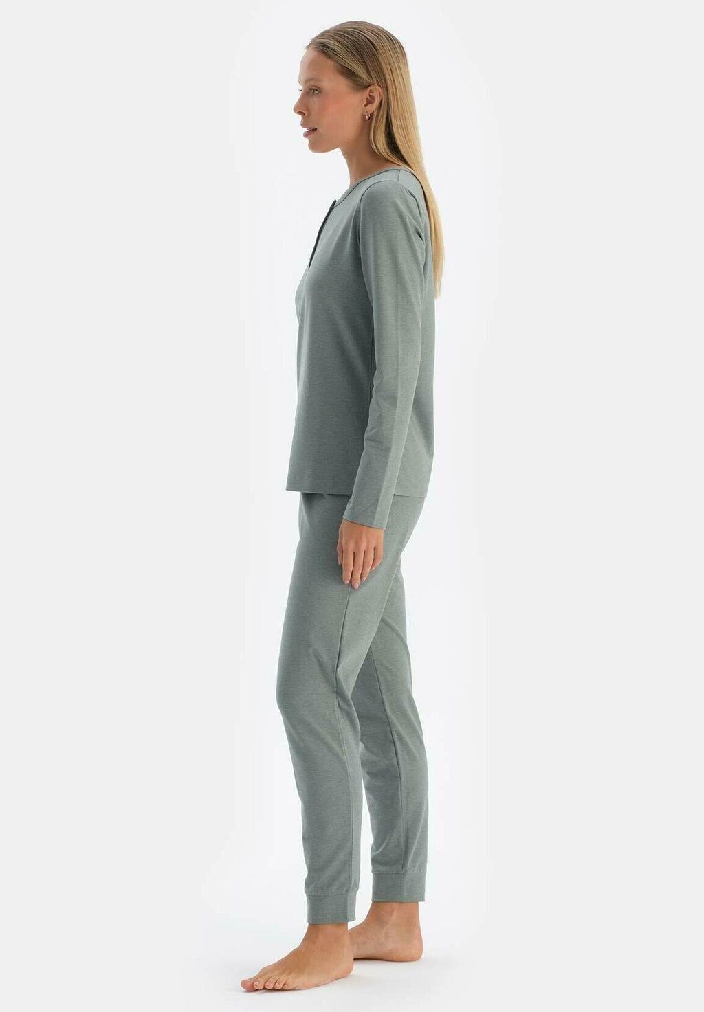

Пижамные штаны REGULAR WAIST DAGI, зеленый