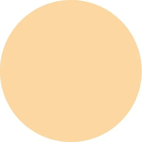Пудра компактная Ex:Beaute Vision Foundation Fine Cover Powder, бежевый охра 01, 11 г — фото 2