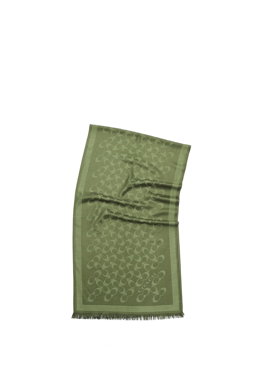 

Шарф COACH Signature C Oblong, Green/Kiwi