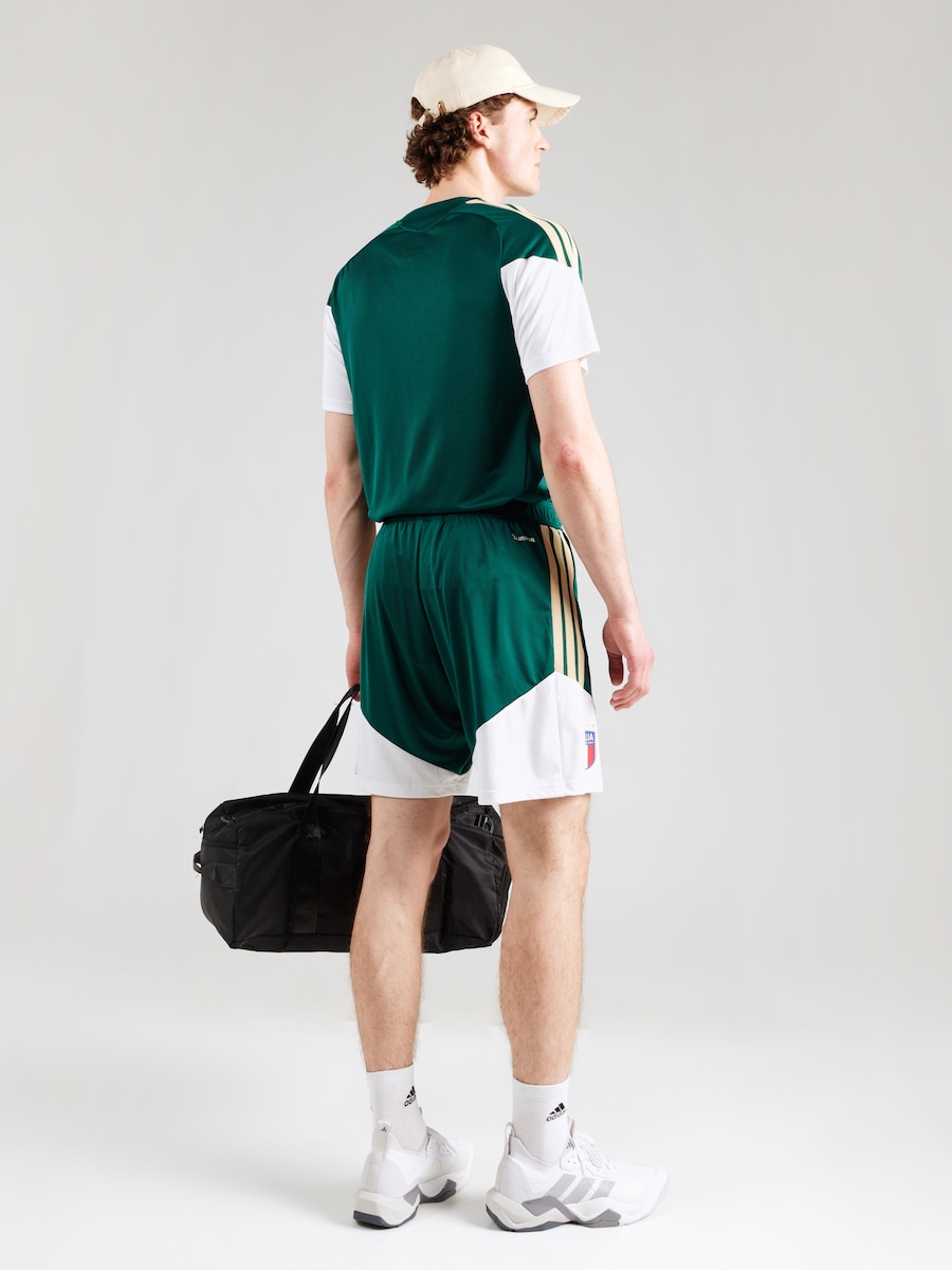 Обычные спортивные штаны ADIDAS PERFORMANCE FIGC TR SHO, зеленый — фото 4