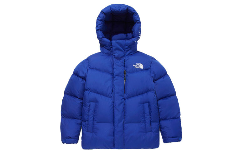

Коллекция 1997 года, пуховик мужской, синий The North Face, синий