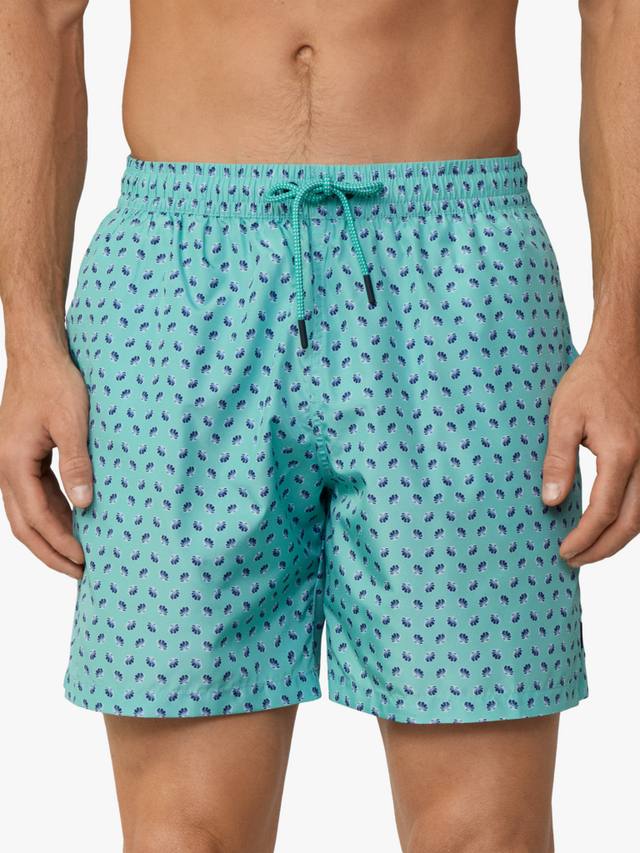 

Плавки обычной посадки с принтом Hackett London, цвет Spearmint Green