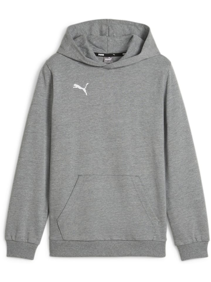 

Puma Худи "TeamGoal CasuaLongsleeve Hoody Jr" серого цвета