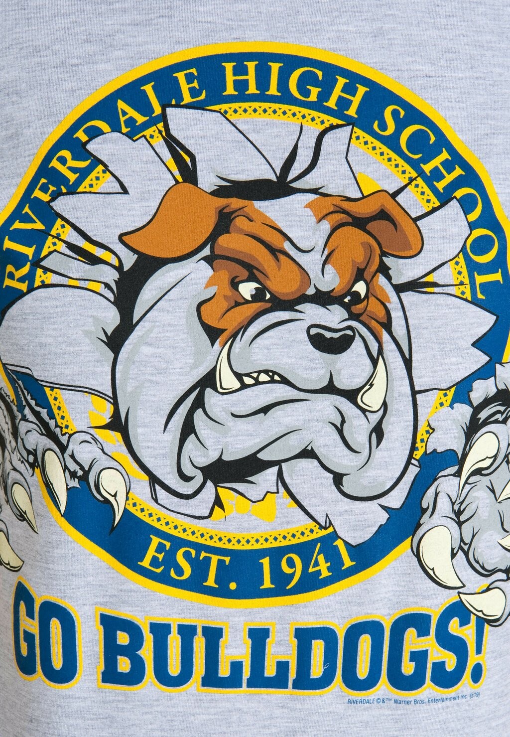 

Футболка с принтом RIVERDALE GO BULLDOGS LOGOSHIRT, цвет Mottled Grey