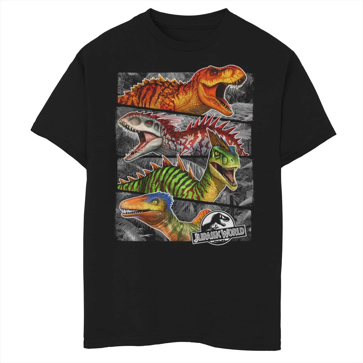 

Футболка с рисунком Rude Dudes для мальчиков 8–20 лет Jurassic World Jurassic Park