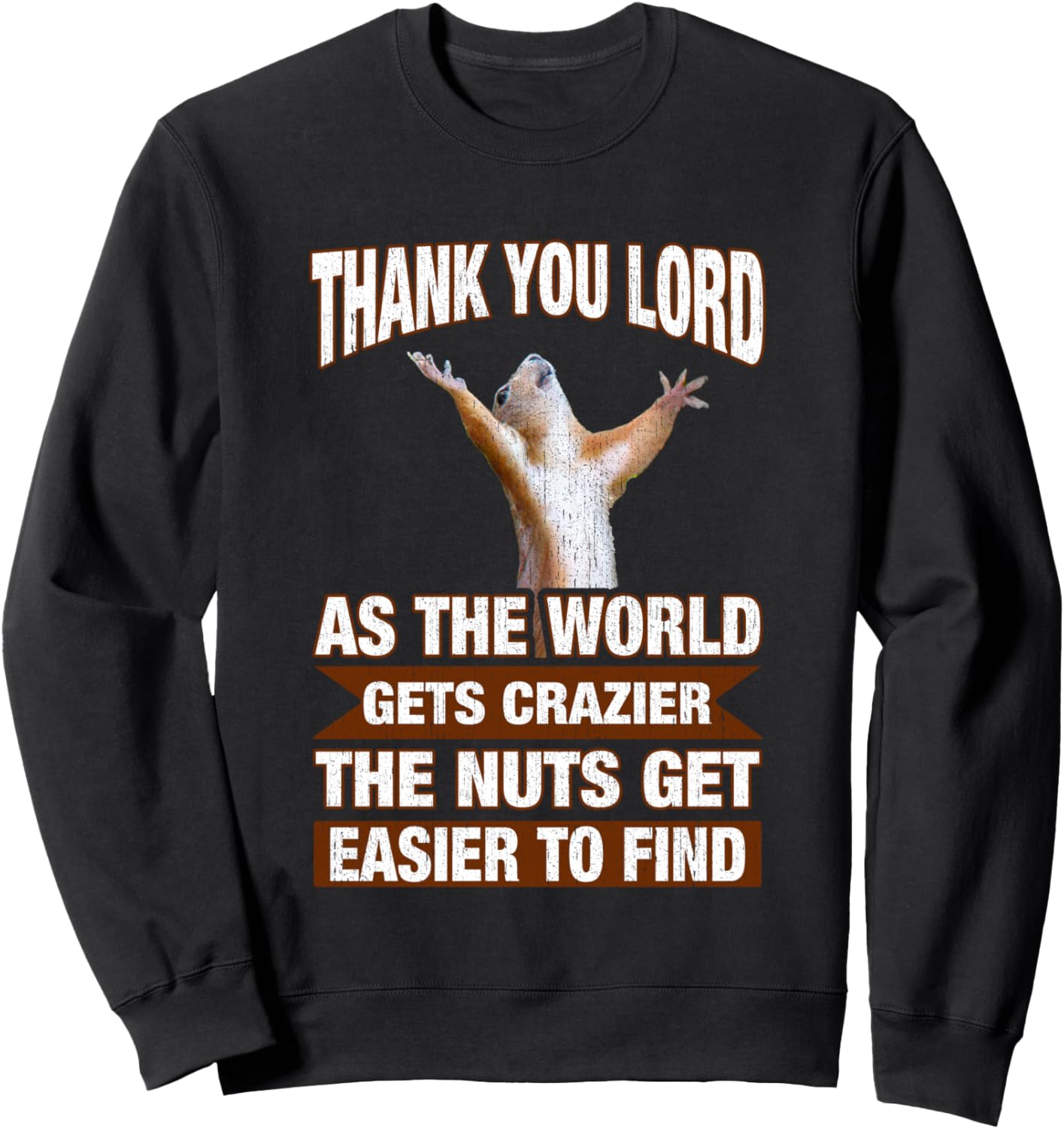 

Толстовка, Спасибо Тебе, Господи! Пока мир сходит с ума, найти толстовку становится все сложнее Humor Squirrel Thank You Lord Quote, черный