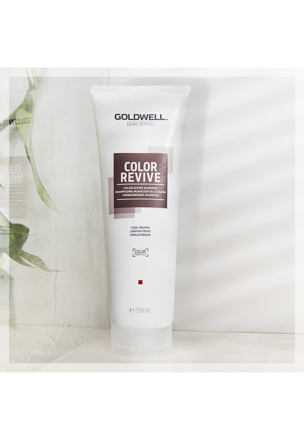 

Шампунь GOLDWELL DUALSENSES COLOR REVIVE COLOR GIVING SHAMPOO COOL BROWN Goldwell