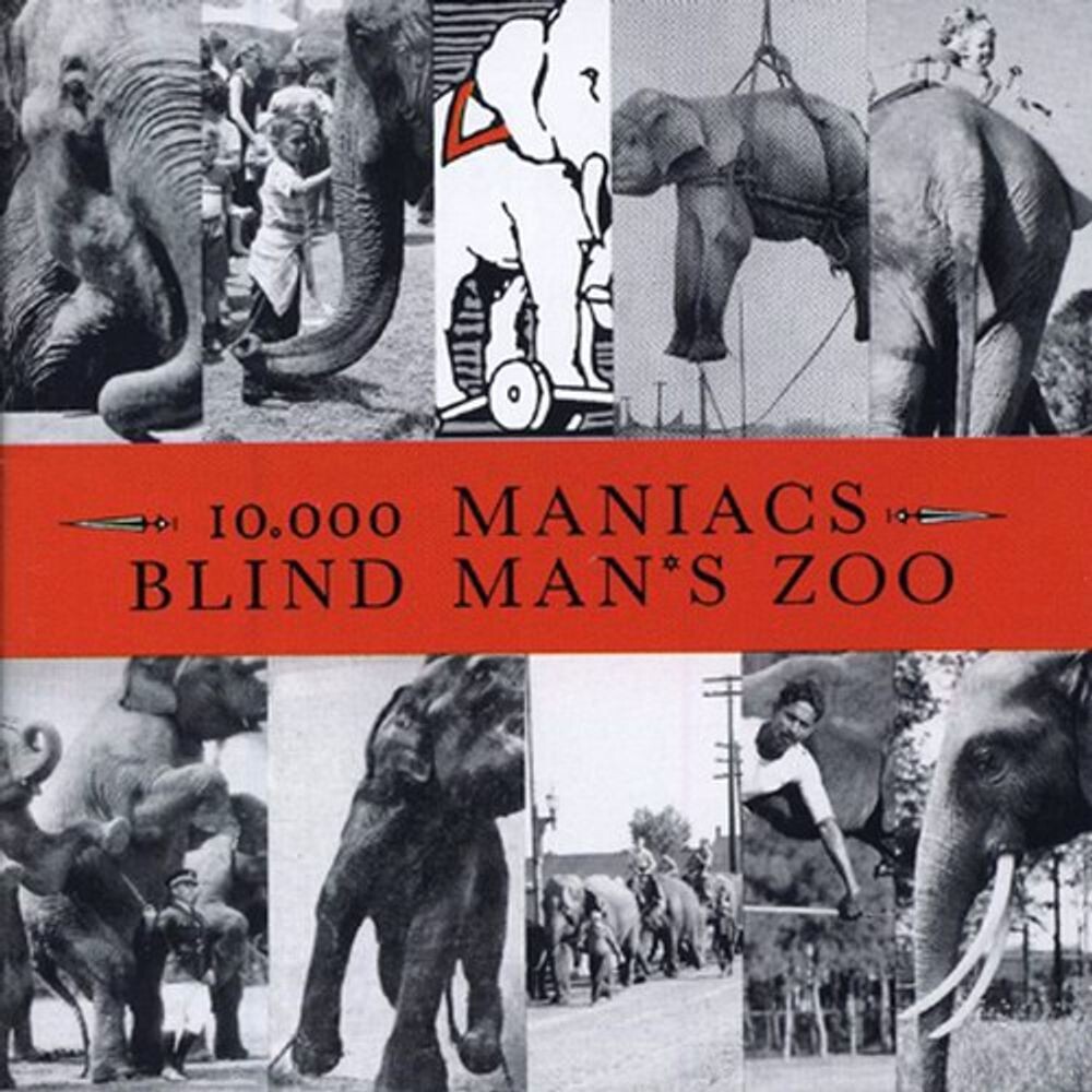 

Диск CD Blind Man's Zoo - 10,000 Maniacs