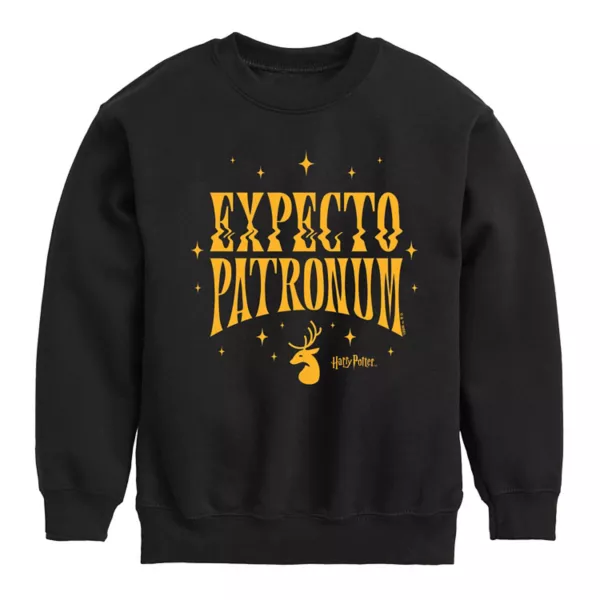 

Флисовая толстовка expo патронум для мальчиков 8–20 лет Harry Potter, черный