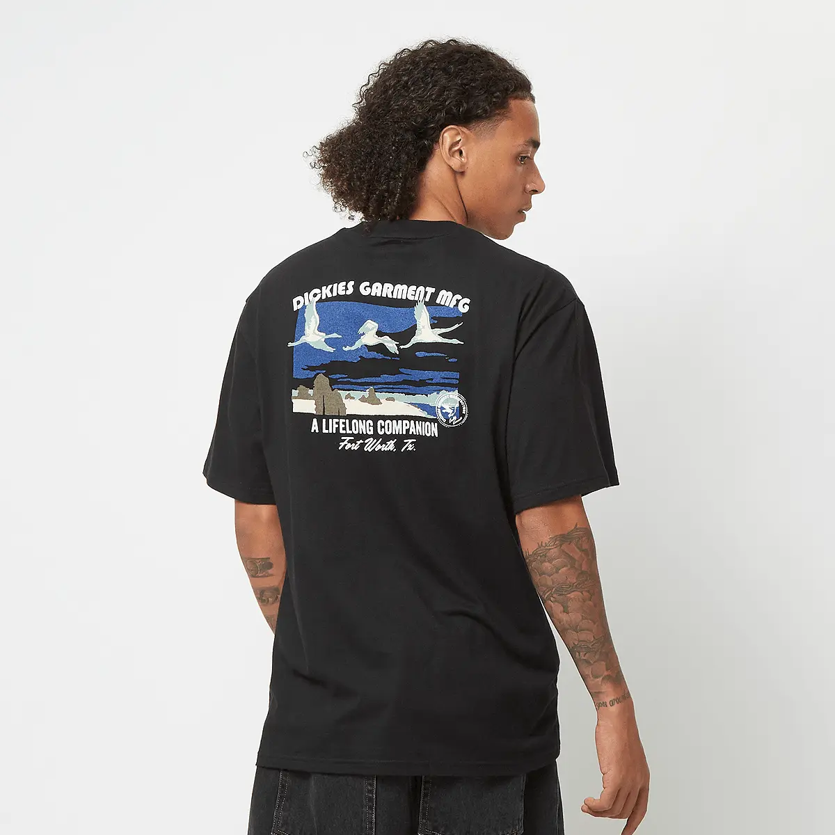 

Футболка Dickies Companion Tee Short Sleeve, черный