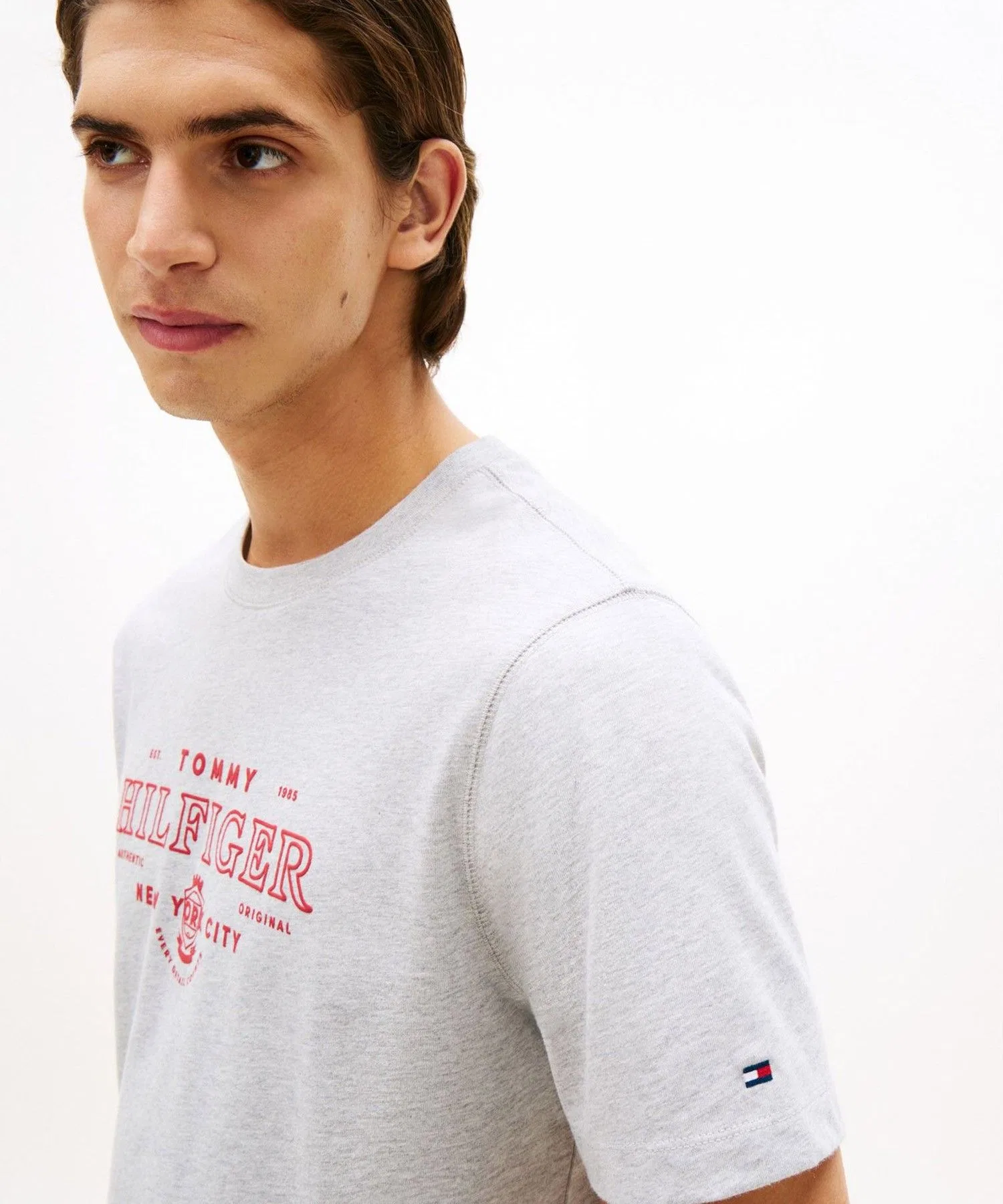 Мужская футболка TOMMY HILFIGER HERITAGE GRAPHIC TEE — фото 2