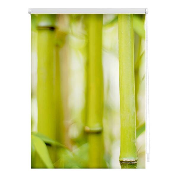 

Затемняющие рулонные шторы Lichtblick Bambus, 60x150x6 см, зеленый