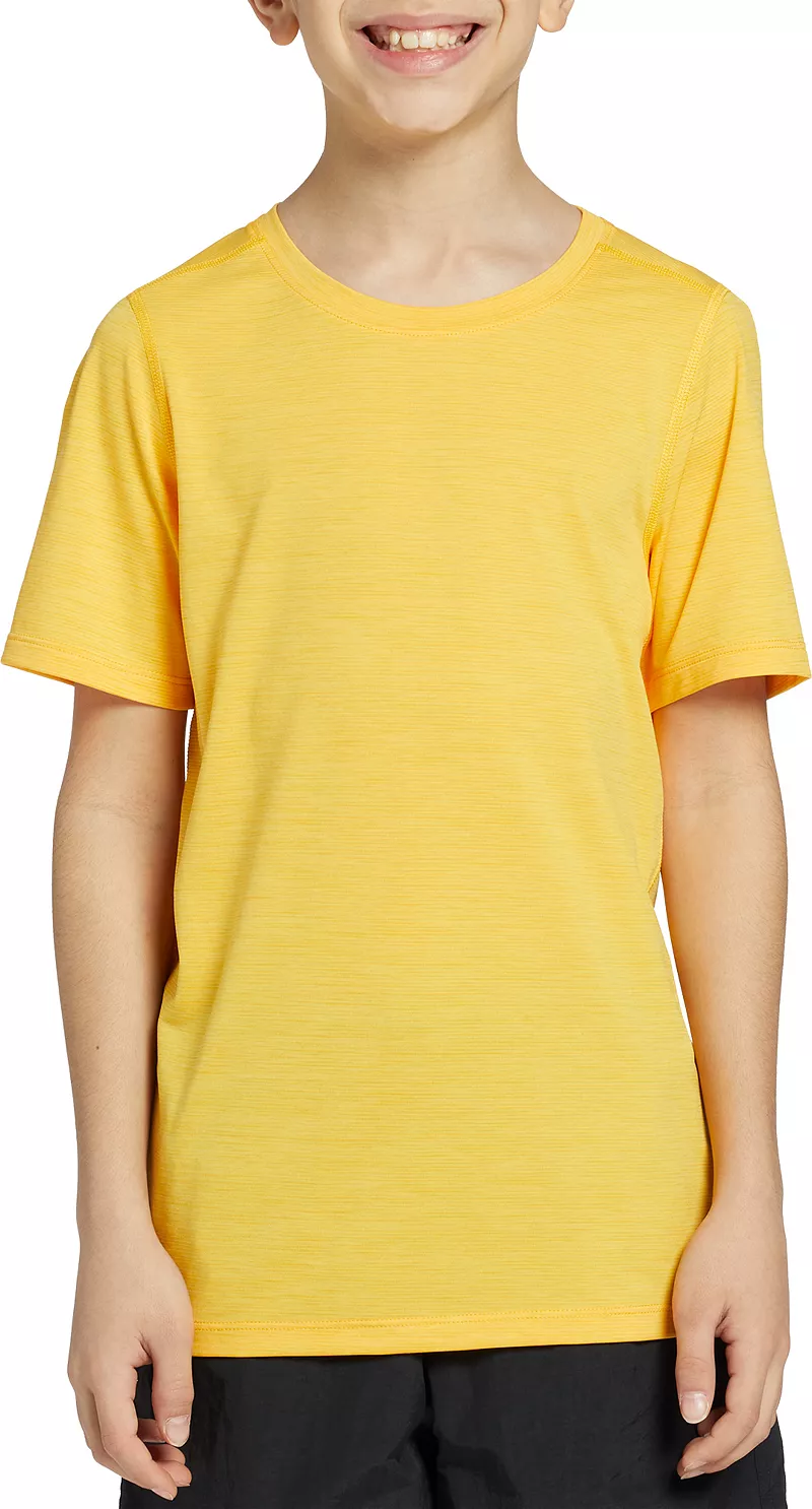 

Футболка «Движение» для мальчиков DSG, цвет University Gold Heather