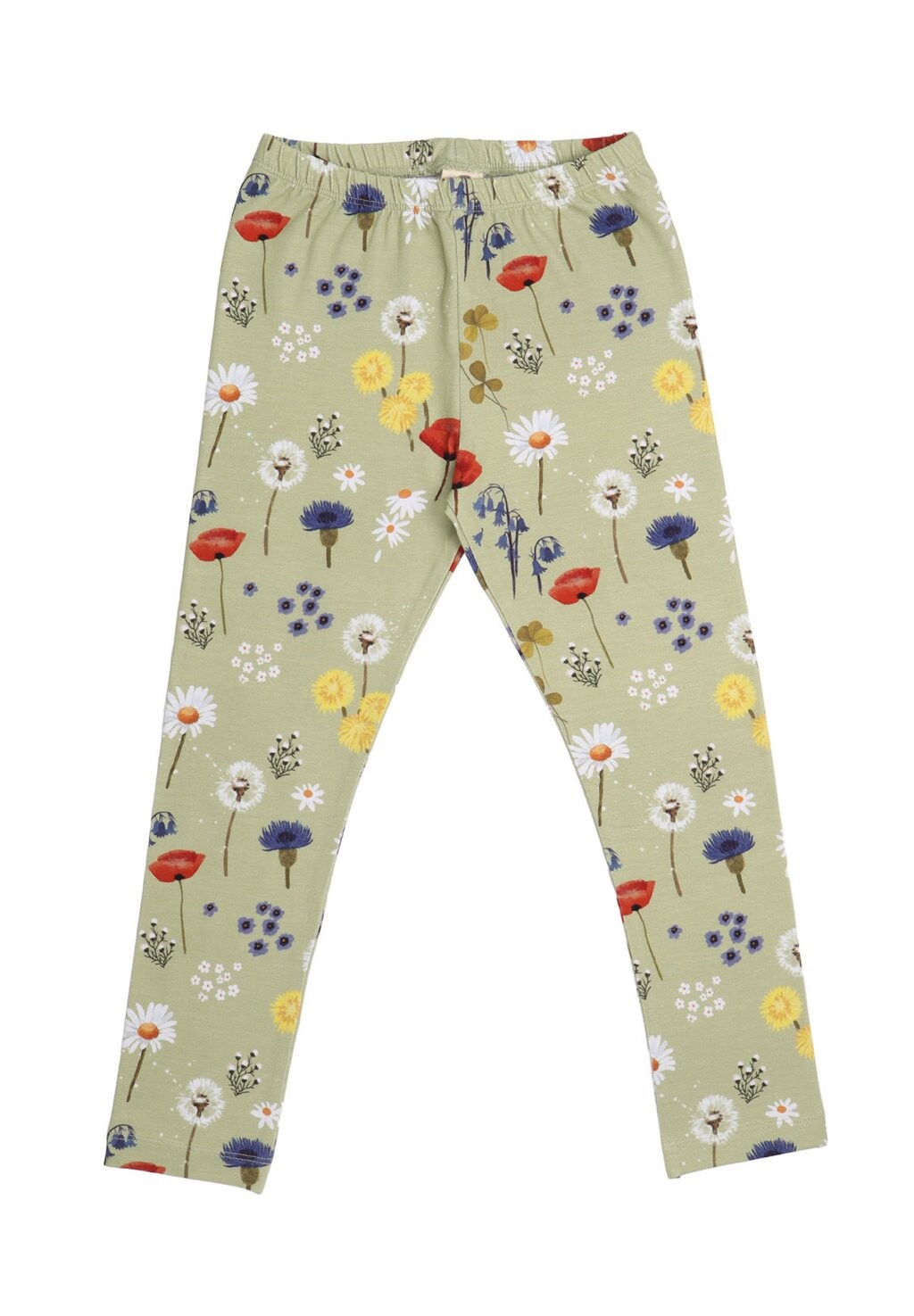 

Леггинсы WILD FLOWERS Walkiddy, цвет grün