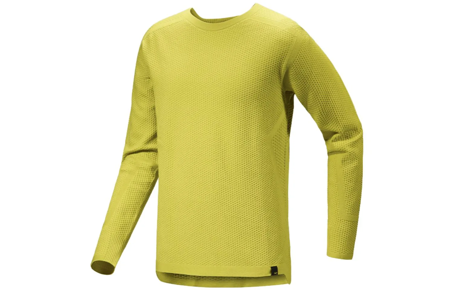 Футболка HALLAM мужская с круглым вырезом умеренного прямого кроя Arcteryx, Rock Green/Lampyre — фото 3