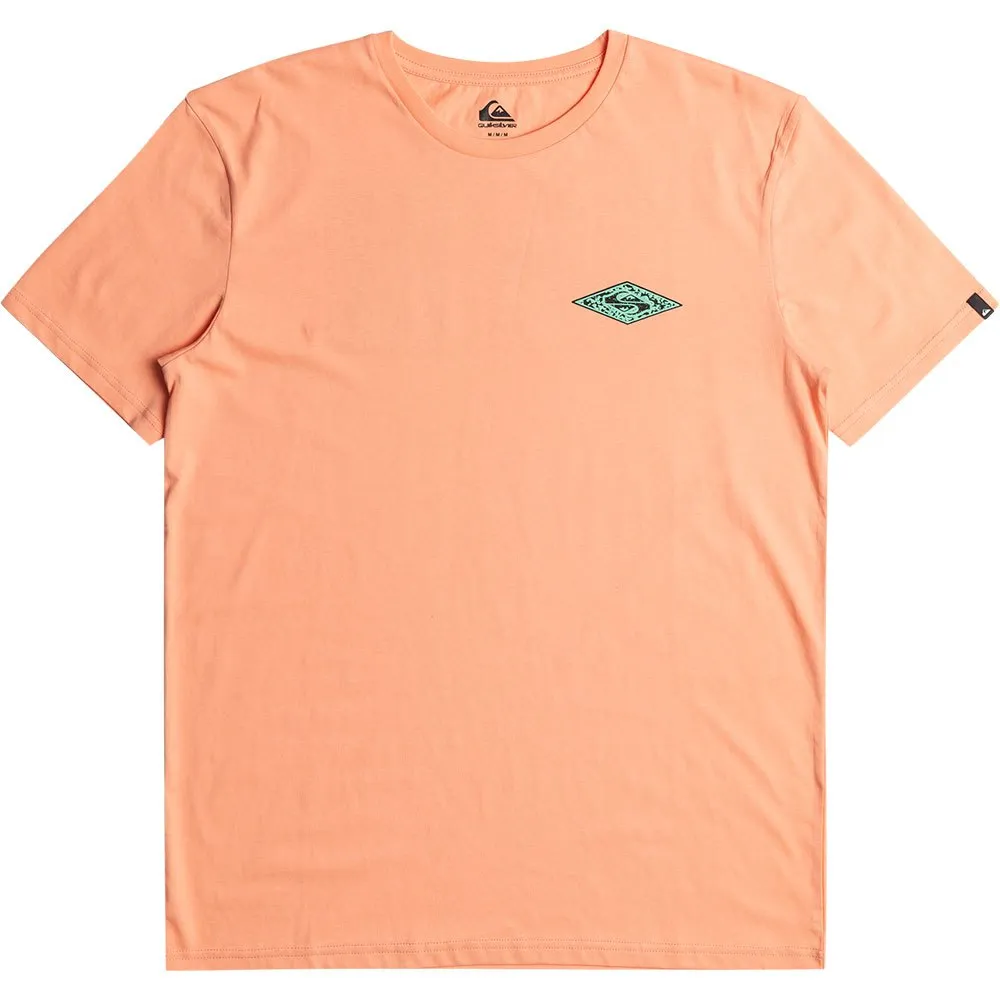 

Футболка Quiksilver Fossilized, оранжевый