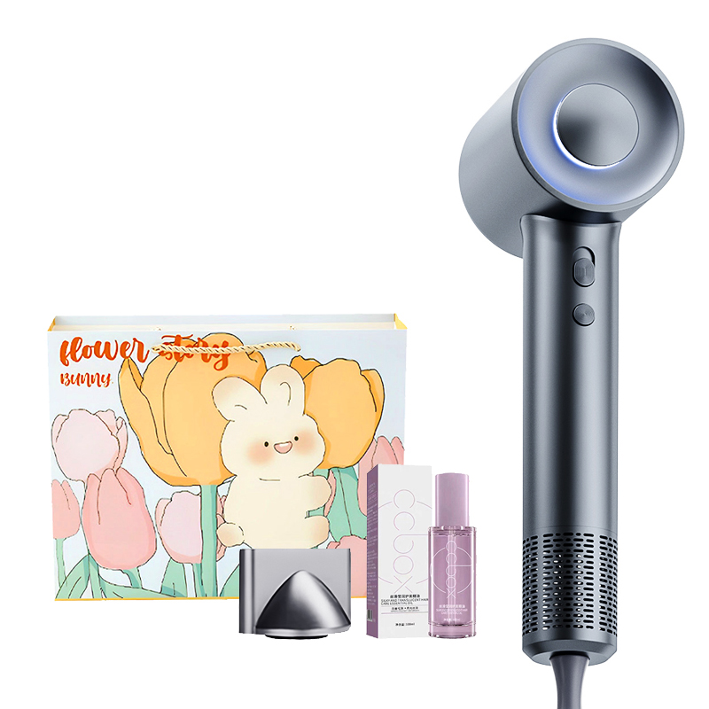 

Фен для волос Aux, Silver Gray [Limited Bunny Gift Bag + Wind Nozzle + Essential Oil]