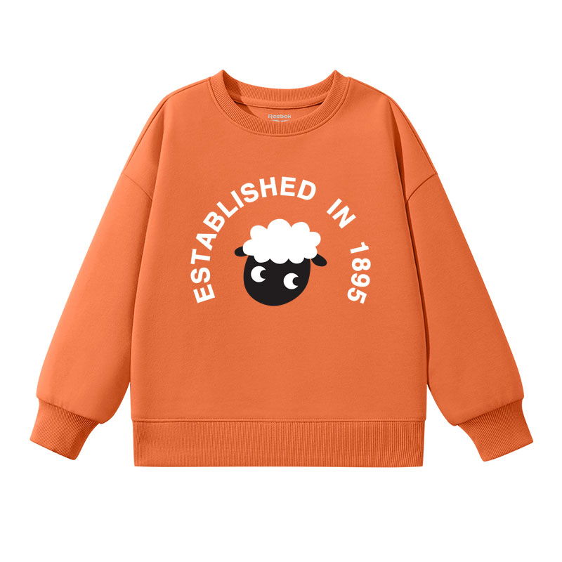 

Детский свитшот Reebok, оранжевый/RB Sheep/RB белый Text Label Middle черный