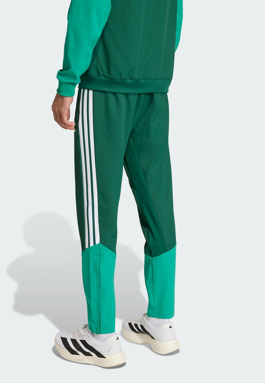 Обычные спортивные штаны ADIDAS PERFORMANCE Algerien 26, изумрудный/темно-зеленый — фото 3