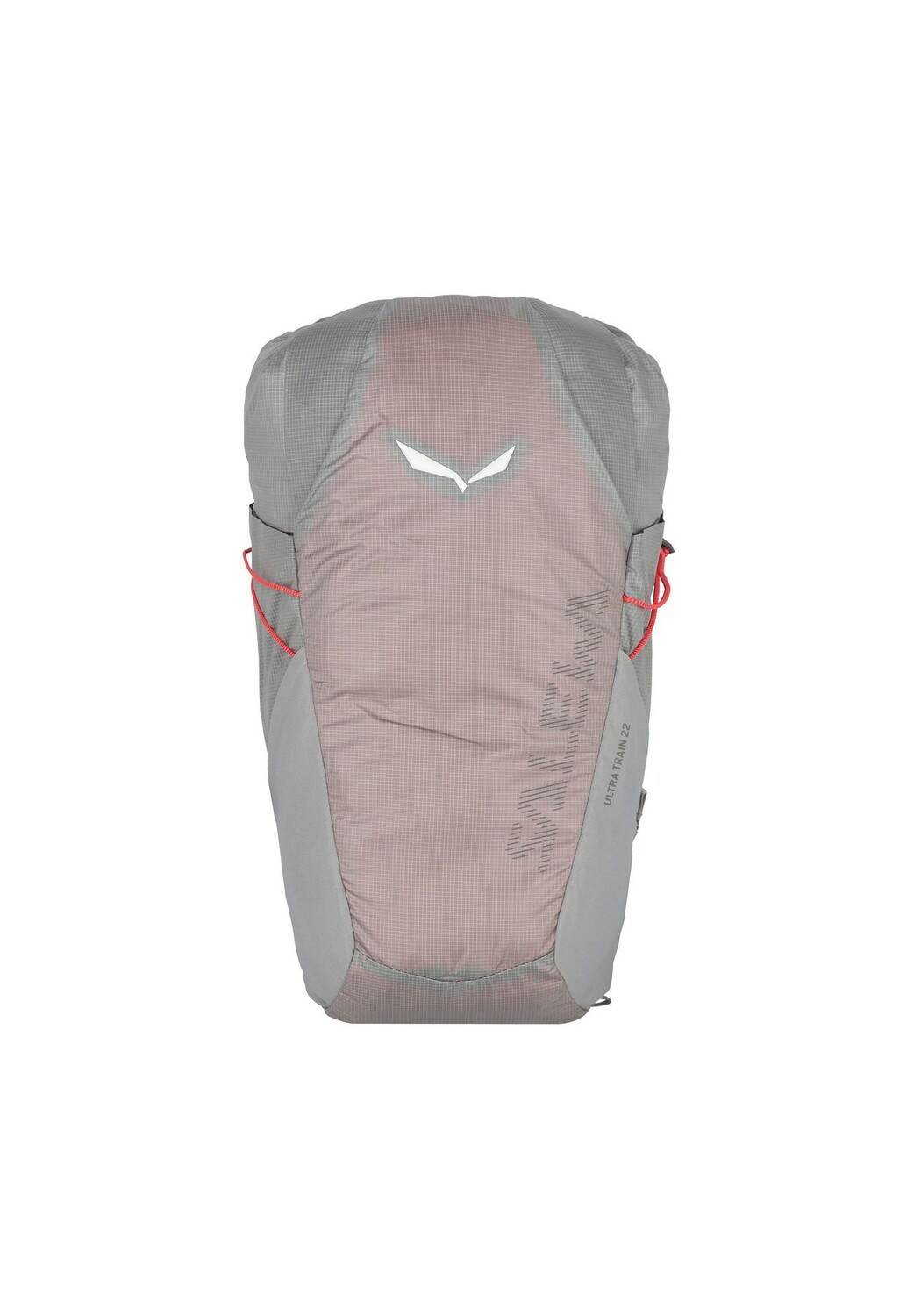 

Рюкзак Ultra Train 22л 47 см SALEWA, цвет Alloy