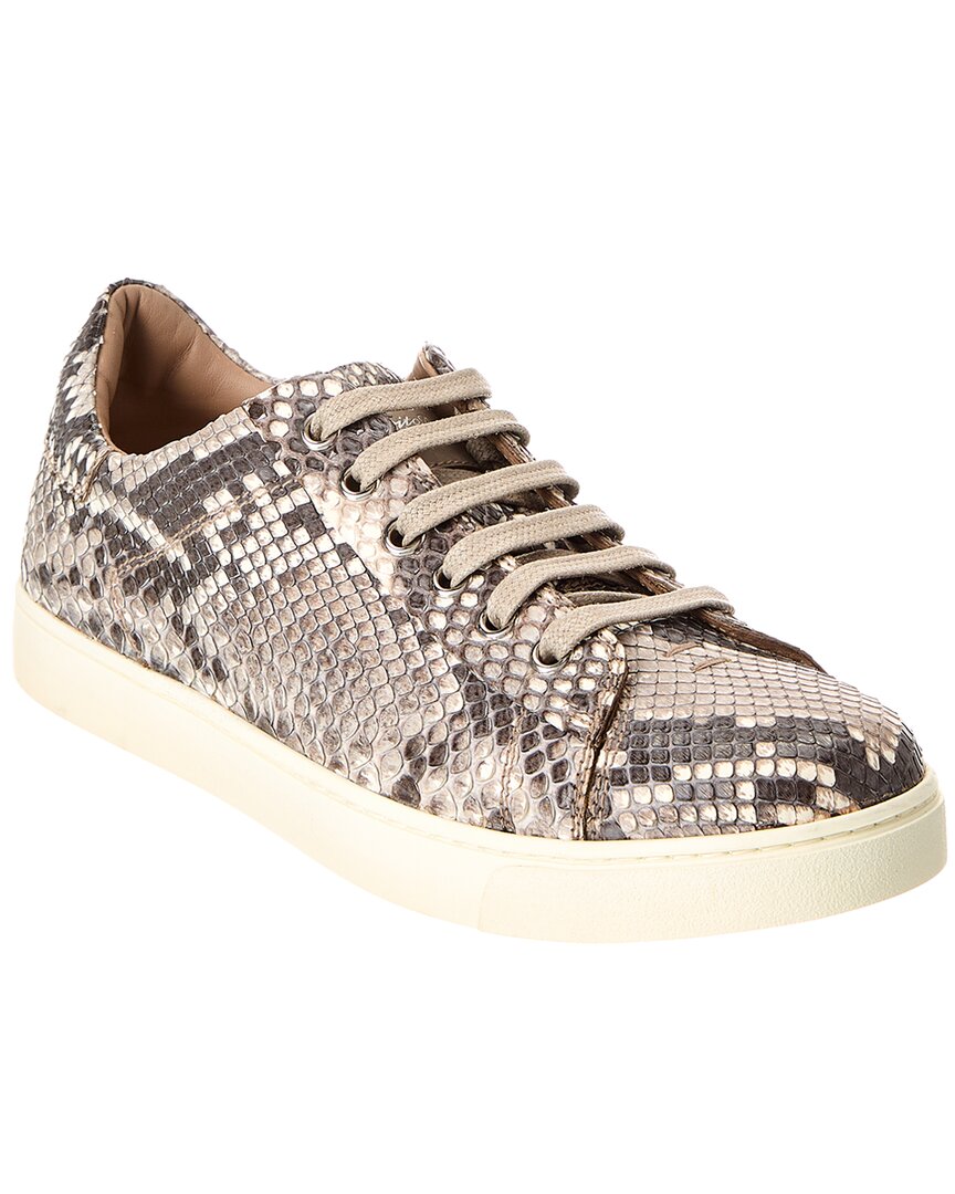 Низкие кроссовки Gianvito Rossi Python, серый