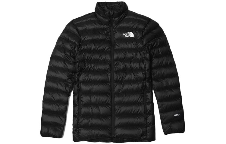 

THE NORTH FACE Мужской пуховик, цвет Black