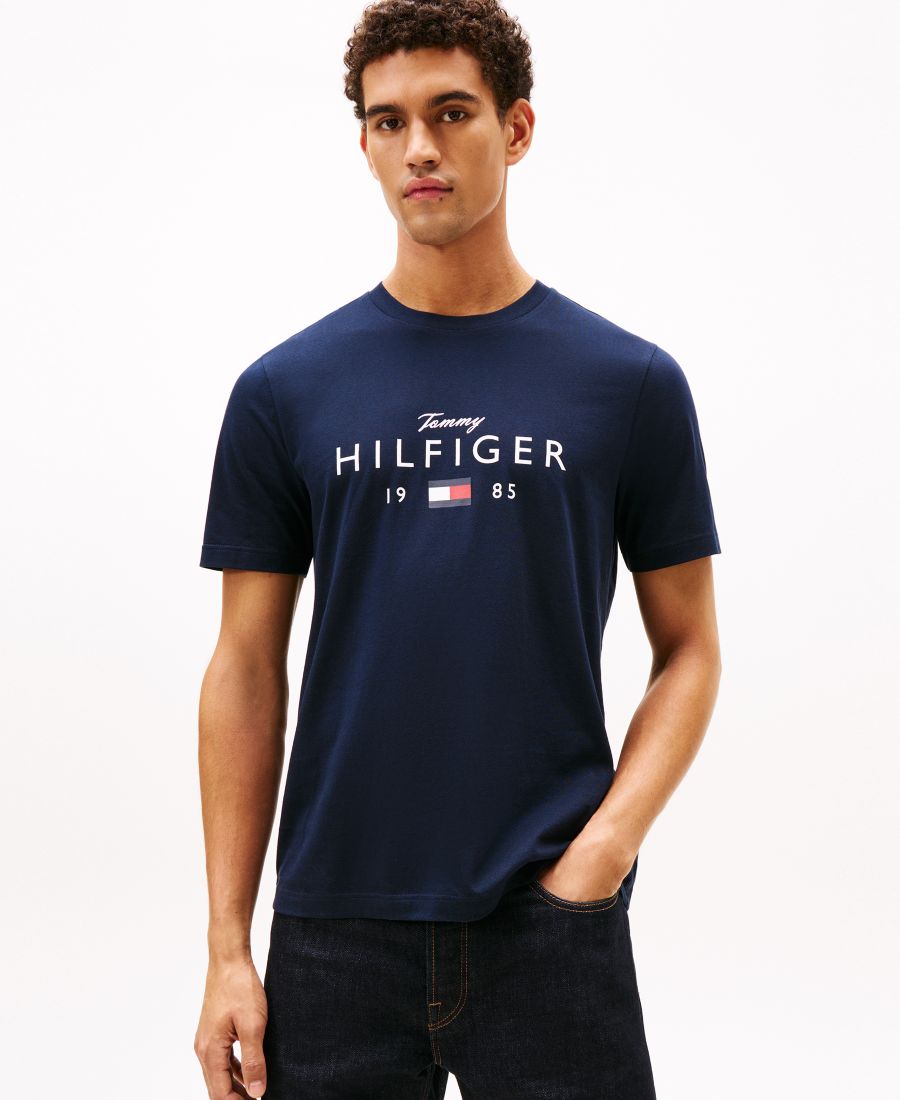 

Мужская футболка с круглым вырезом Tommy Hilfiger, Desert Sky, Коричневый, Мужская футболка с круглым вырезом Tommy Hilfiger, Desert Sky