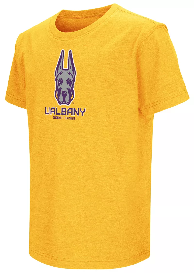 

Золотая футболка Colosseum Youth Albany Great Danes