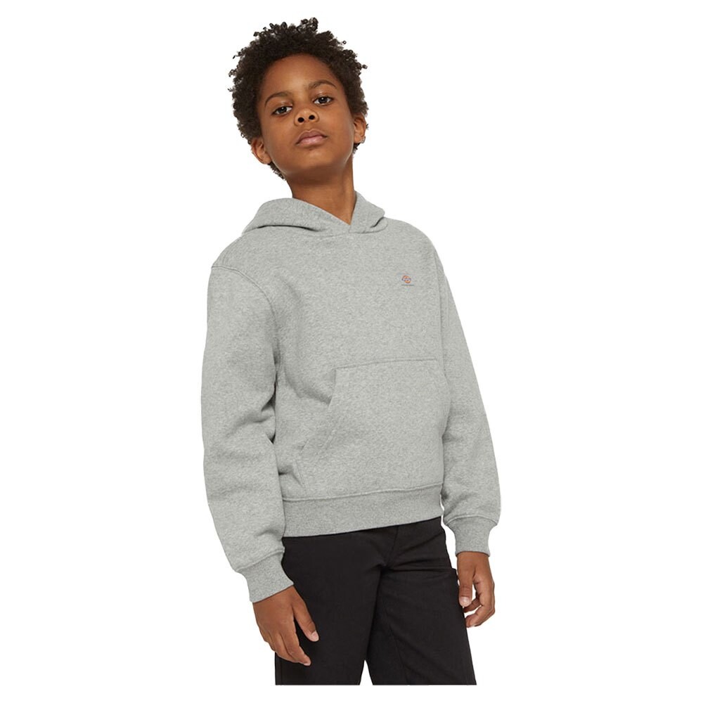 

Худи Dickies Youth Oakport, серый