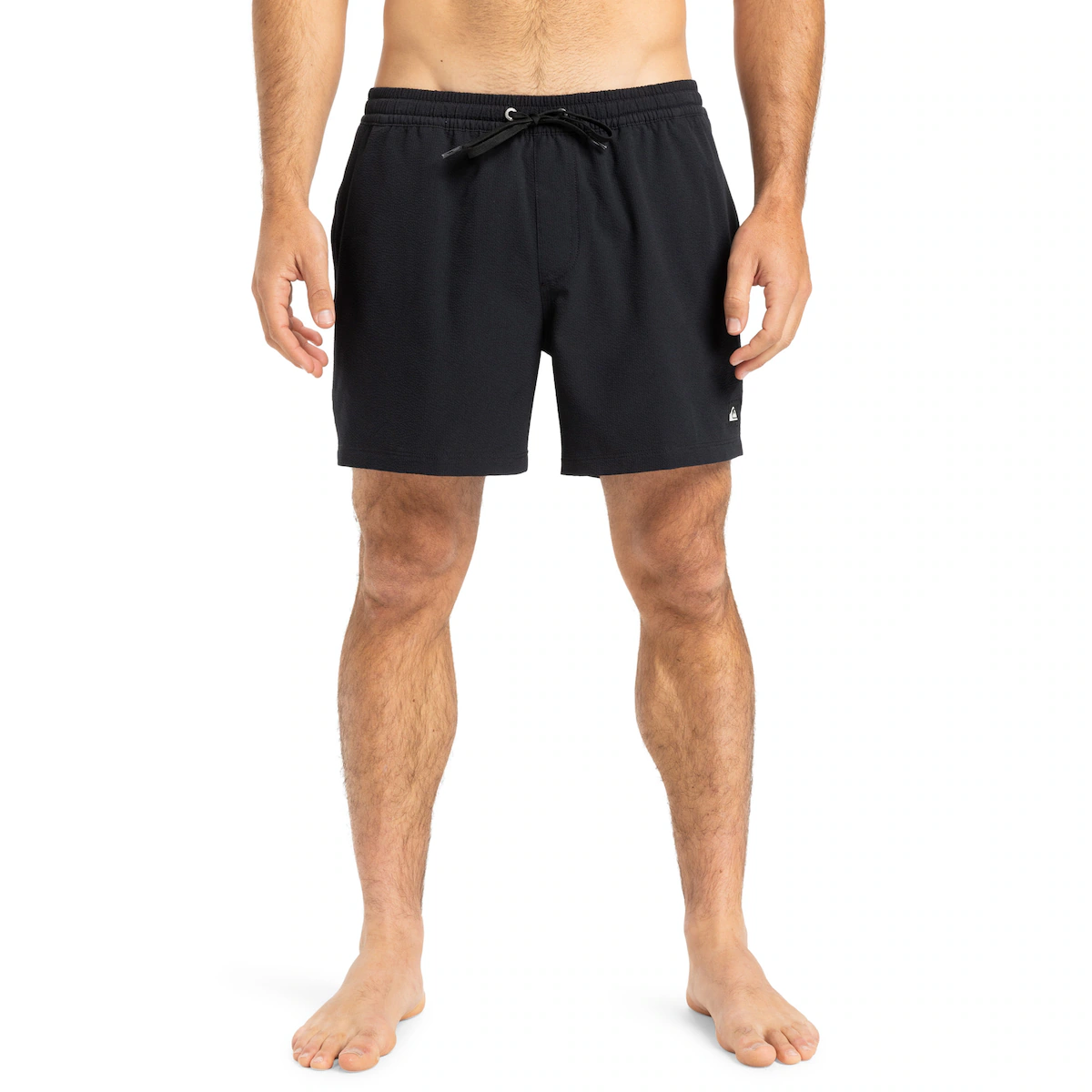 

Мужские шорты Quiksilver Everyday Flex 15" для плавания, черный
