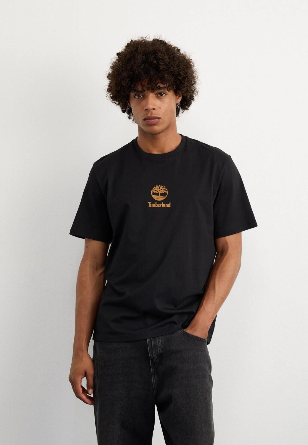 

Футболки с принтом SMALL LOGO PRINT TEE LEMON PEPPER Timberland, черный