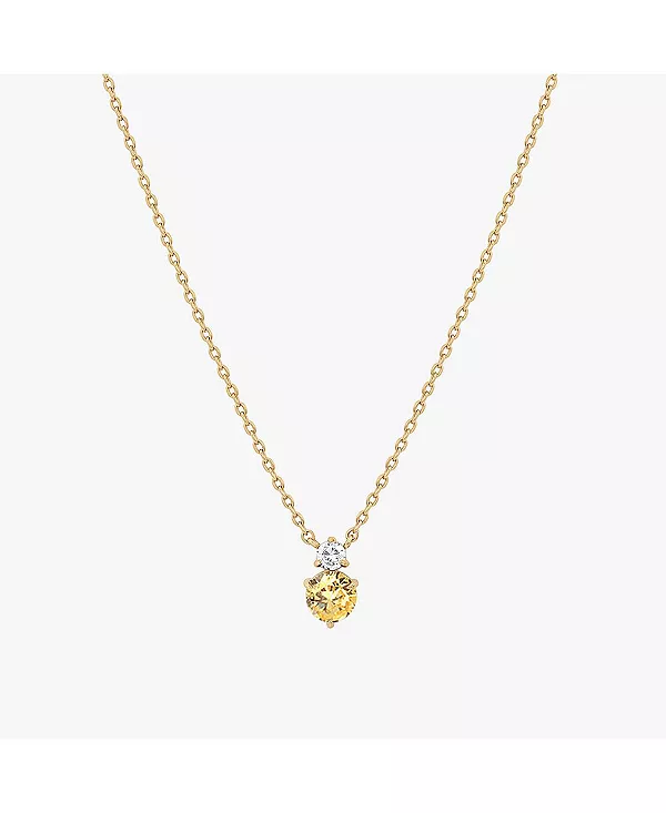 

Ожерелье с двумя камнями-зодиаками, покрытое 14-каратным золотом, идея для личного подарка на праздник Bearfruit Jewelry, citrine