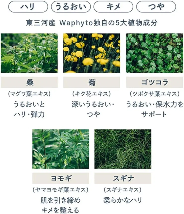 Масло для лица Waphyto Regena Enriched Facial Oil, 30 мл — фото 4