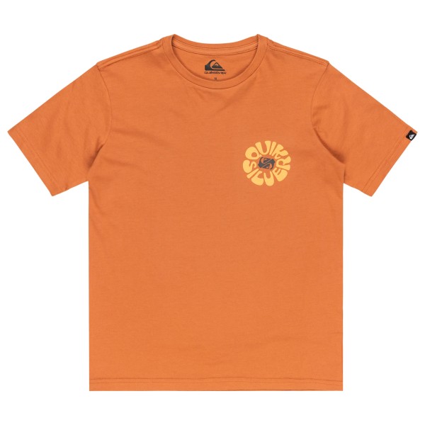

Детская футболка Evo Roads End из s/s Quiksilver, Bran