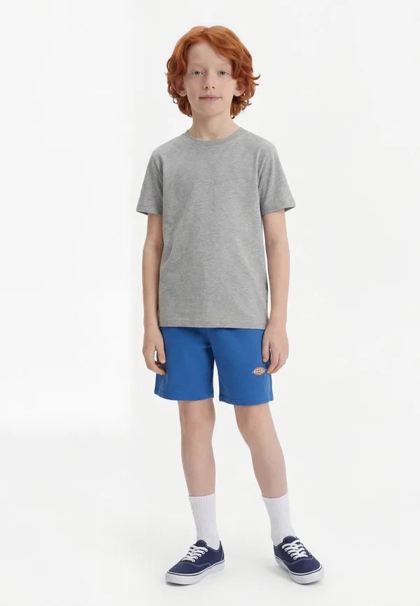 Детские шорты mapleton Dickies, Delft