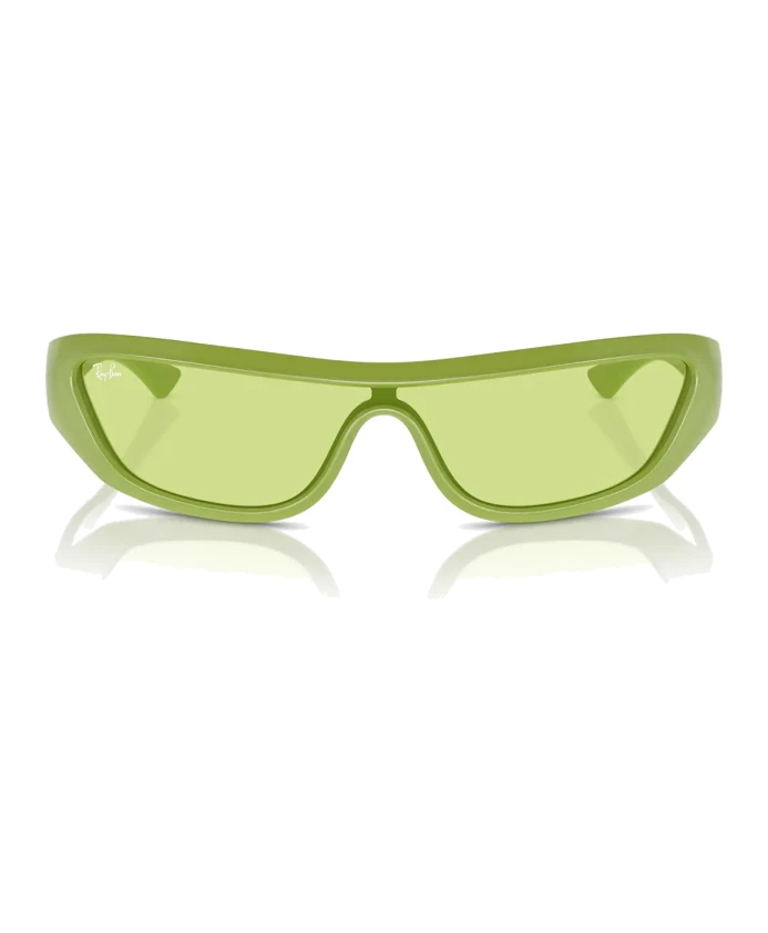 

Солнцезащитные очки в классическом стиле, модель RB4431 Ray-Ban, зеленый