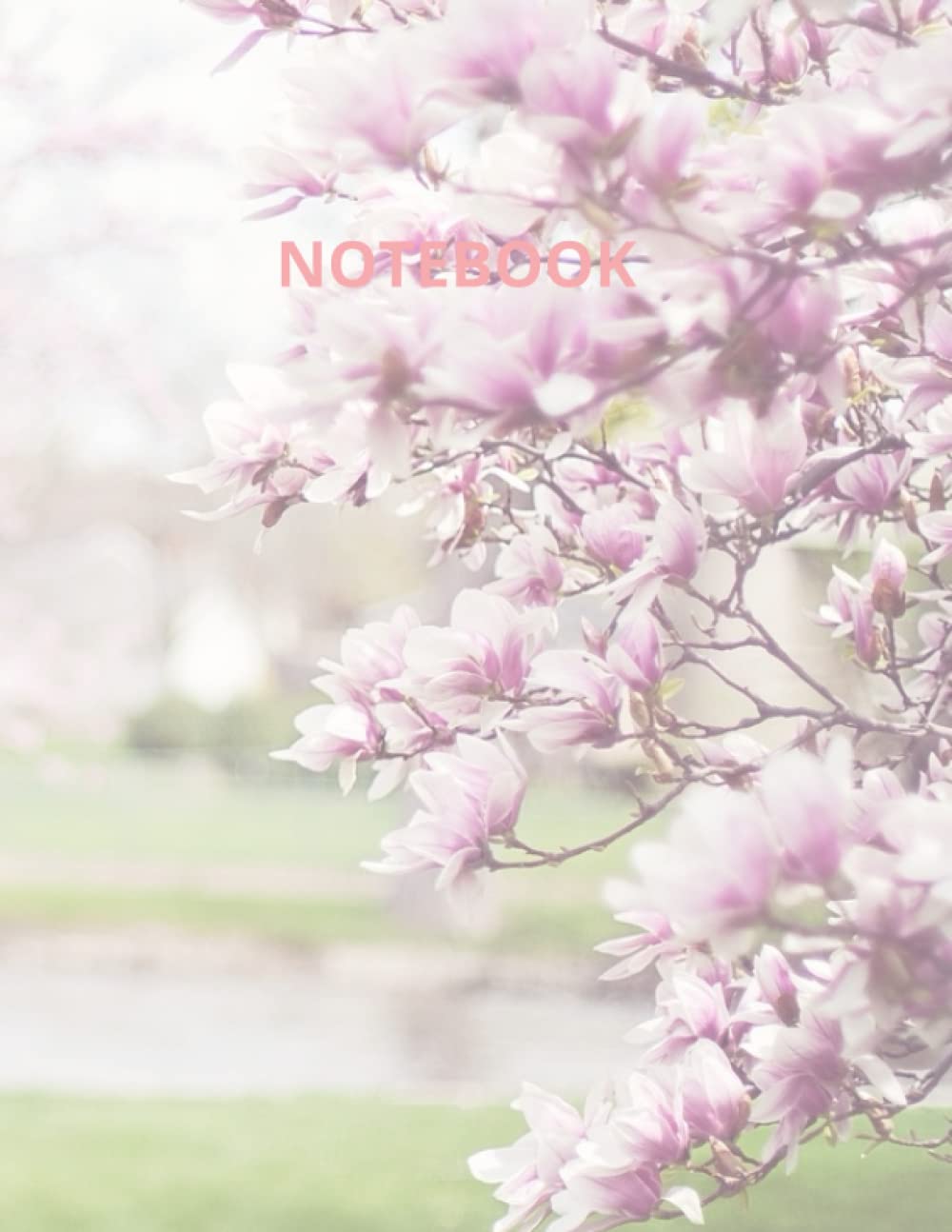 

notebook: notebook 110 pages 8.5 x 11 inches (Independently published)