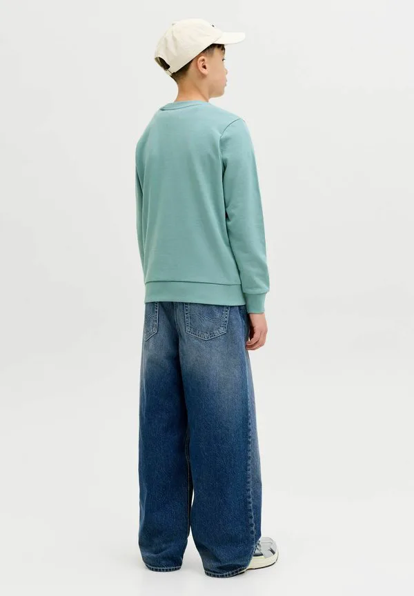 Толстовка jjelogo с круглым вырезом, двухцветная, весна-лето 2026 Jack & Jones Junior, Mineral Blue — фото 3