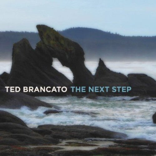 

CD диск Brancato, Ted: The Next Step