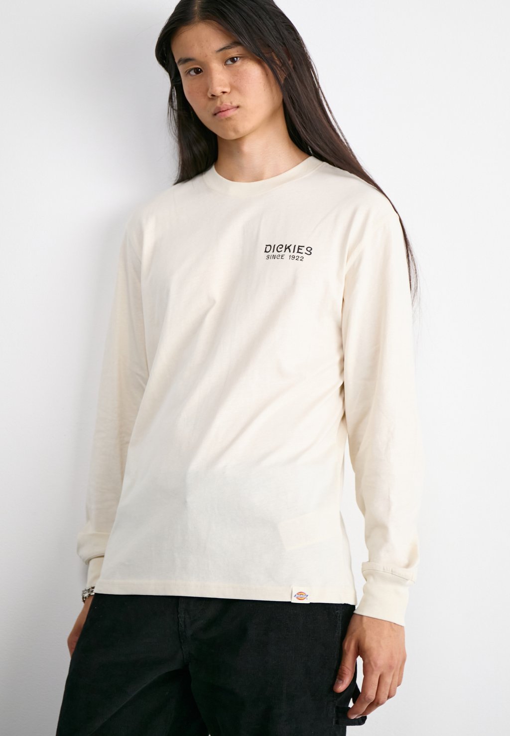 

Топ с длинными рукавами EAGLE POINT TEE Dickies, бежевый