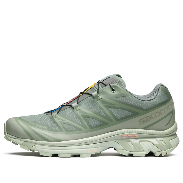 

Кроссовки xt-6 gore-tex Salomon, зеленый
