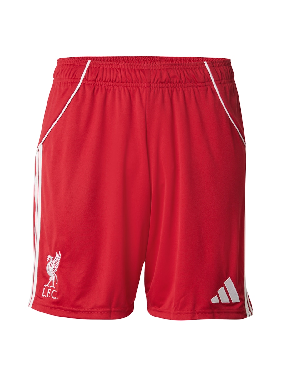 

Обычные спортивные штаны ADIDAS PERFORMANCE FC Liverpool FC 25/26, красный