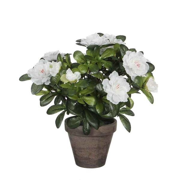 

Декоративное растение Mica Decorations Azalee, белый