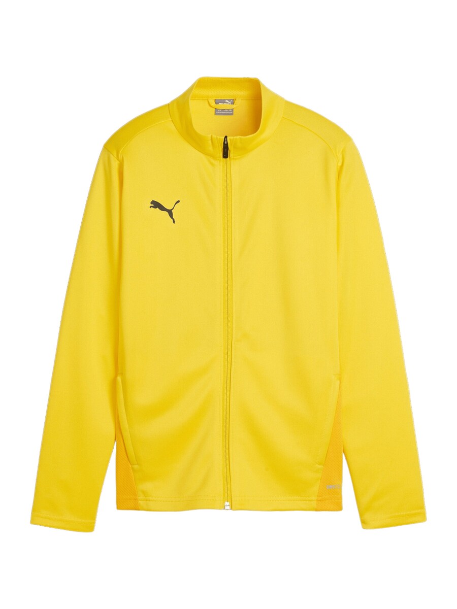 

Спортивная куртка PUMA TeamGoal, желтый