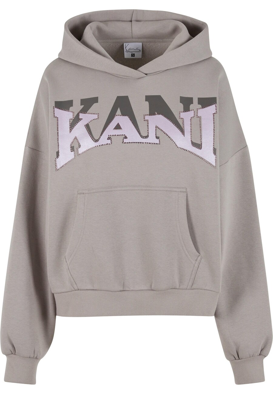

Толстовка Karl Kani, серый