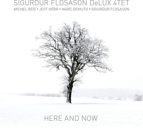 

CD диск Flosason, Sigurdur: Here & Now